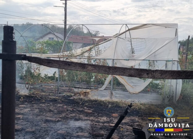 Pe parcursul zilei de ieri, pompierii dâmbovițeni au în în mai multe localități din județul Dâmbovița pentru stingerea unor incendii de vegetație uscată.