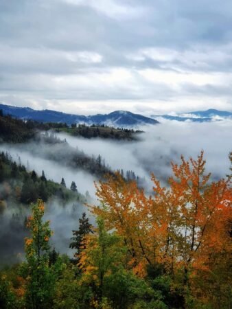 A început toamna astronomică Echinocțiul de toamnă a avut loc ieri, 22 septembrie, ora 15:42, ora României și a marcar începutul toamnei astronomice.