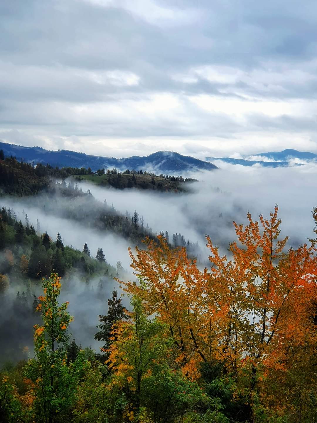 Echinocțiul de toamnă a avut loc ieri, 22 septembrie, ora 15:42, ora României și a marcar începutul toamnei astronomice.