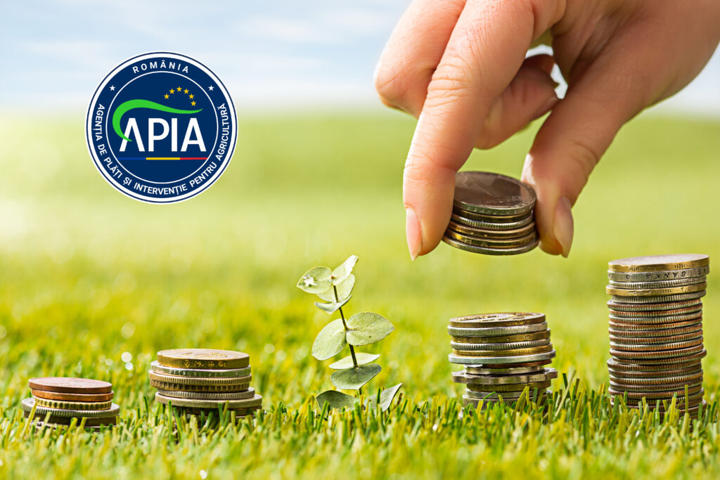 Agenția de Plăți și Intervenție pentru Agricultură (APIA) a anunțat debutul Campaniei de plăți în avans pentru anul de cerere 2024.