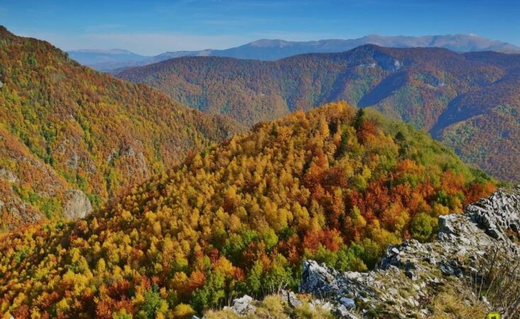 Pădurile frumoase și bogate ale țării încep să capete nuanțe vibrante de roșu, galben și portocaliu, creând un tablou natural impresionant. 