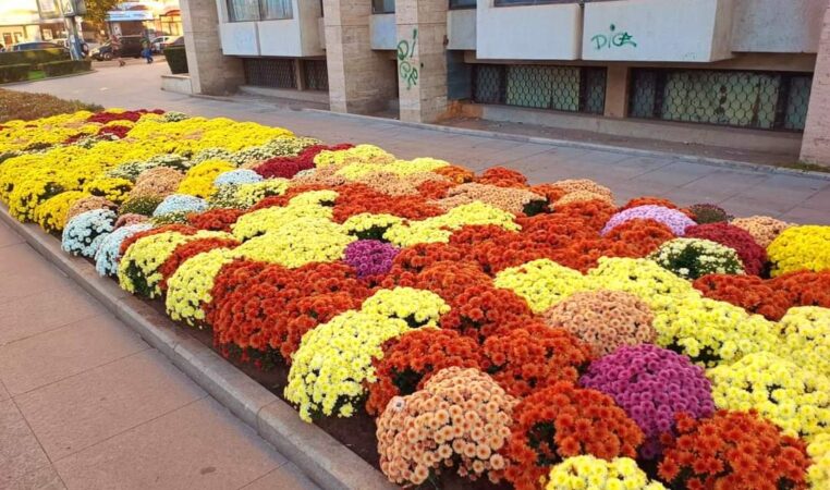 Municipiul Târgoviște se mândrește cu un patrimoniu natural bogat, iar întreținerea spațiilor verzi reprezintă o prioritate pentru autoritățile locale.