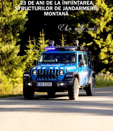 La nivelul Inspectoratului de Jandarmi Judeţean „Mircea cel Bătrân” Dâmboviţa există două posturi de jandarmerie montană. 