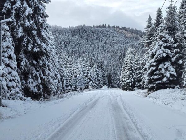 Începând de luni, 11 noiembrie, ora 10:00, și până marți, 12 noiembrie, ora 20:00, județul Dâmbovița se află sub atenționare meteorologică de cod galben pentru ninsori însemnate cantitativ, în special în zona montană.