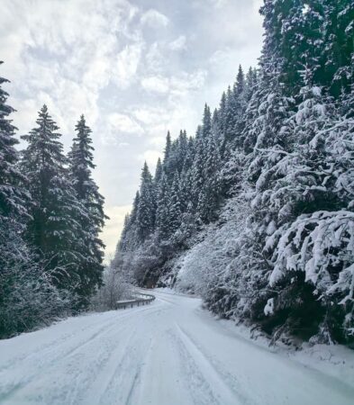 Alertă meteo: Ninsori și val de aer polar vor lovi toată țara în următoarele zile Începând din 21 noiembrie, România se va confrunta cu o schimbare bruscă a vremii, odată cu pătrunderea unei mase de aer rece