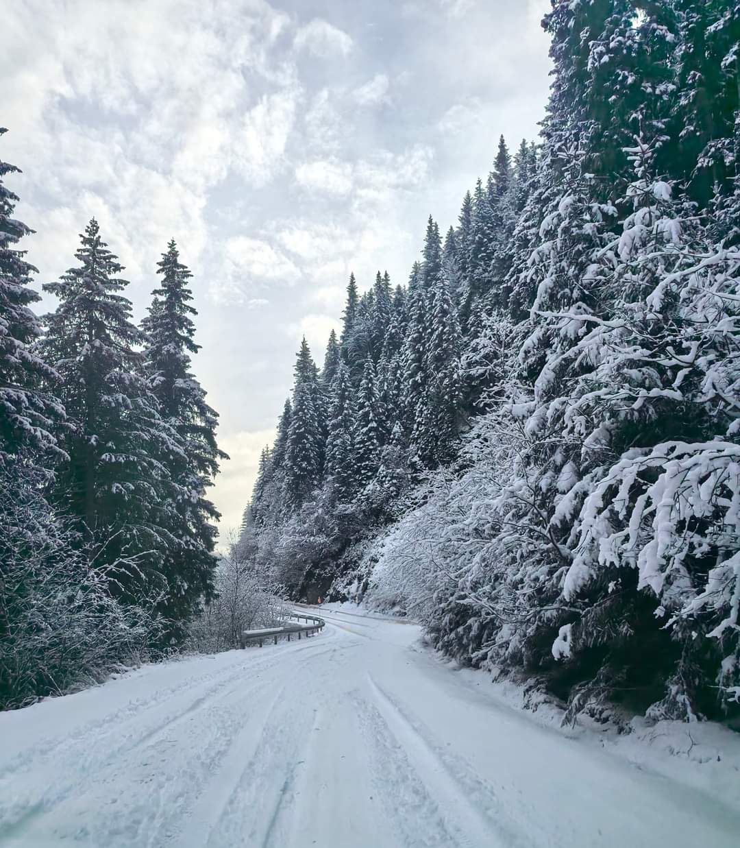 Începând din 21 noiembrie, România se va confrunta cu o schimbare bruscă a vremii, odată cu pătrunderea unei mase de aer rece