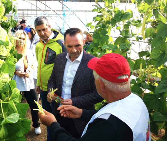 Direcția Agricolă Dâmbovița: Sprijin financiar pentru legumicultorii care produc legume în spații protejate Într-o inițiativă de sprijinire a sectorului agricol, Monitorul Oficial a publicat recent Hotărârea nr. 1342/2024, care aprobă schema d