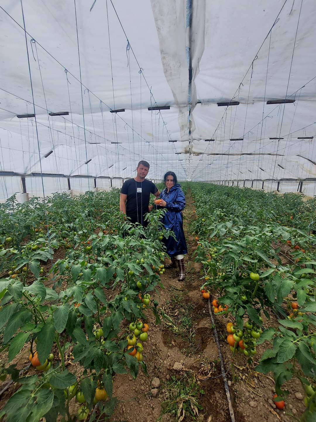 În sprijinul agricultorilor, Guvernul României și Ministerul Agriculturii și Dezvoltării Rurale au anunțat prelungirea termenului