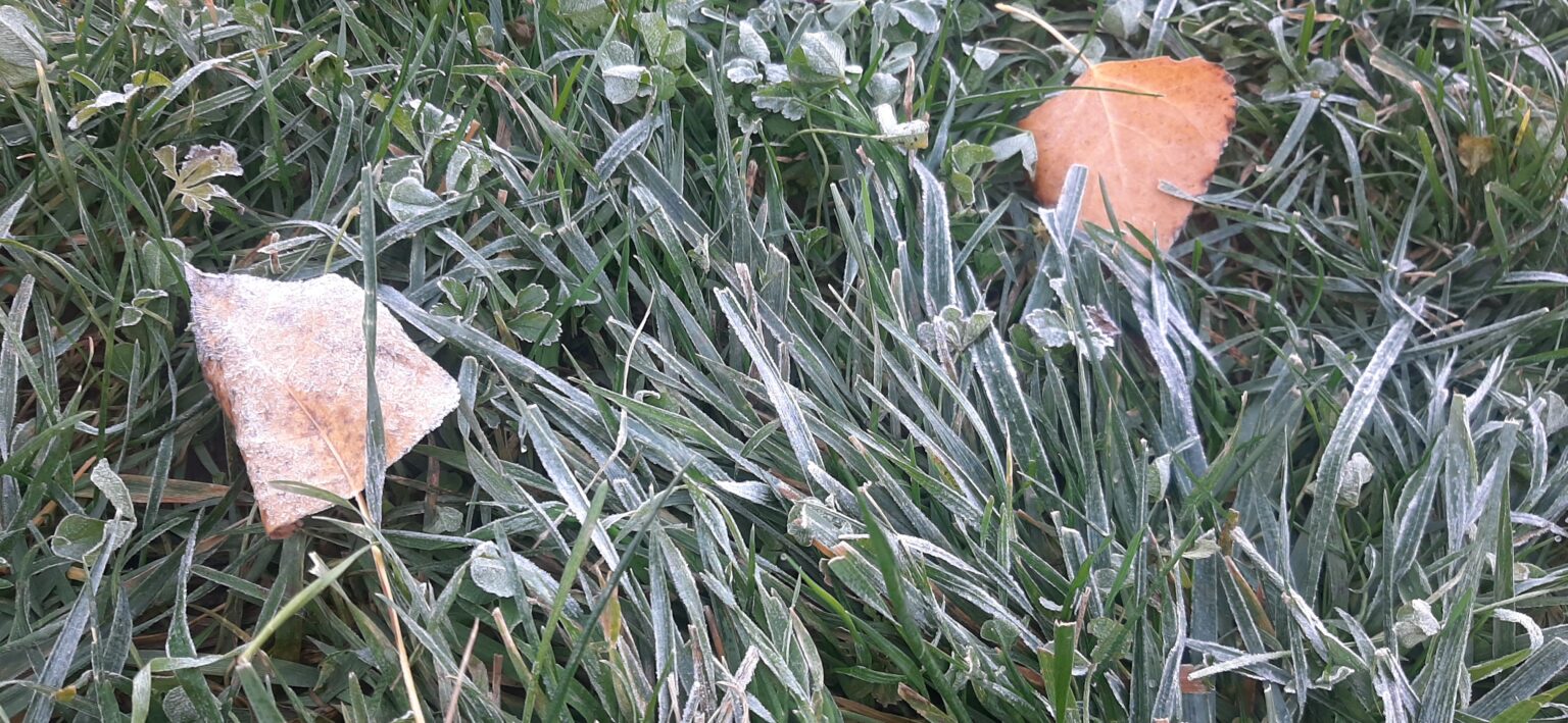 Ieri, 6 noiembrie 2024, România s-a  confruntat  cu cea mai rece dimineață a sezonului de toamnă, înregistrând temperaturi negative în numeroase