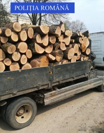 Ieri, polițiștii din cadrul Secției nr. 5 Poliție Rurală Voinești au depistat, pe DJ 724, în comuna Malu cu Flori, un bărbat din județul Argeș