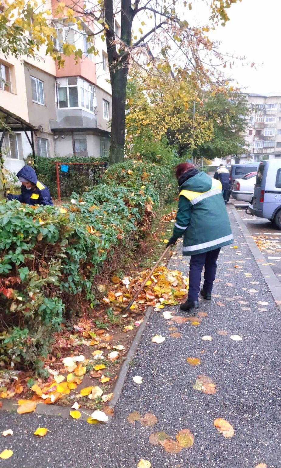 În ciuda frigului pătrunzător și a vremii capricioase, angajații Direcției de Salubritate și EcoSal din Târgoviște nu dau înapoi