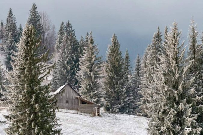  Autoritățile meteorologice au emis o informare de vreme  foarte rece pentru județul Dâmbovița, valabilă în perioada 20-23 noiembrie 2024.