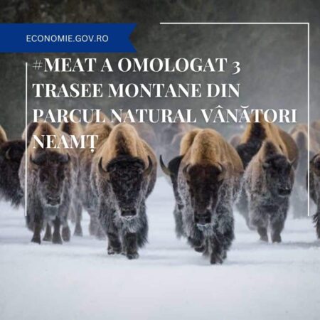 Trei trasee montane spectaculoase au fost omologate de Ministerul Turismului Parcul Natural Vânători Neamț își îmbogățește oferta turistică cu trei trasee montane omologate de Ministerul Economiei