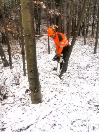 Ieri, Camera Deputaților a adoptat proiectul de lege privind Codul Silvic, o inițiativă legislativă esențială pentru protecția pădurilor și reglementarea gestionării resurselor forestiere din România. 