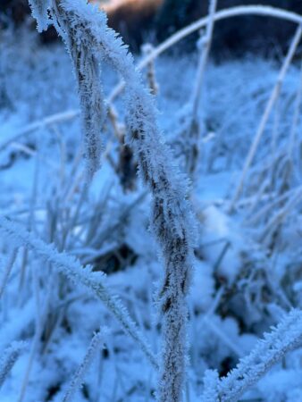 Județul Dâmbovița se află sub atenționare METEO de Cod Galben, valabil până marți, 17 decembrie, ora 21:00, din cauza vântului puternic