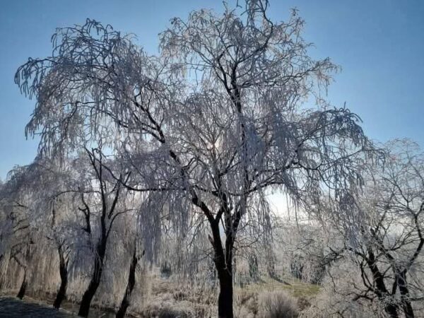 Județul Dâmbovița este sub INFORMARE METEOROLOGICĂ de ploi, vânt puternic, chiciură și polei până pe 4 ianuarie Județul Dâmbovița se află sub INFORMARE METEOROLOGICĂ deosebit de importantă, semnalând condiții de vreme severă ce ar putea afecta serios traficul și siguranța publică în următoarele zile. Autoritățile locale recomandă prudență maximă în deplasări și pregătiri speciale pentru toți locuitorii zonei.