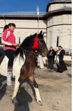 Ieri de Bobotează, pe 6 ianuarie, comuna  Vișina a fost martorul unui eveniment emoționant,  Botezul Cailor, un ritual ce datează din jurul anilor 1900,  ce a fost reînviat cu multă dăruire de administrația locală, sub conducerea primarului Jean Istrate și viceprimarului Ionuț Papa.