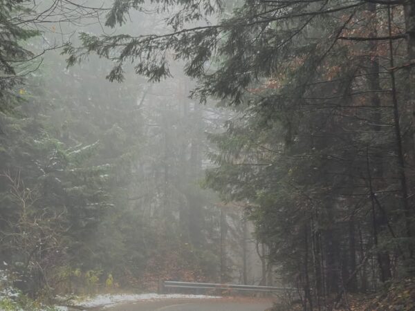 AVERTIZARE METEO în județul Dâmbovița: Din această după-amiază, vremea se schimbă radical Vremea severă se instalează, începând de astăzi, 10 ianuarie 2025, România se va confrunta cu o schimbare semnificativă a vremii