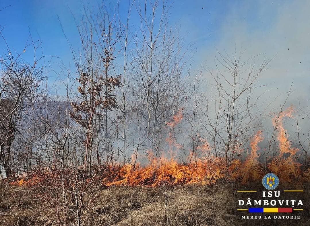Incendiul a fost anunțat ieri, în jurul orei 12:58 și a afectat vegetația uscată, lăstărișul și mărăcinișul de pe o suprafață de aproximativ 4.000 de metri pătrați.