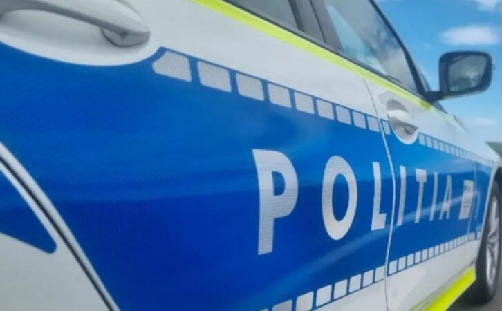 Polițiștii din cadrul Secției nr. 10 Poliție Rurală Petrești au pus în aplicare un mandat de executare a unei pedepse privative de liberate emis de Judecătoria Găești.