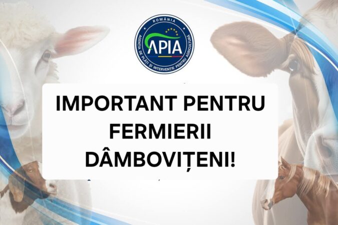 Sprijin financiar de urgență pentru crescătorii de ovine și caprine din Dâmbovița Vești bune pentru crescătorii de ovine și caprine din județul Dâmbovița! Guvernul României a aprobat, prin Hotărârea 69/2025, un sprijin financiar de urgență