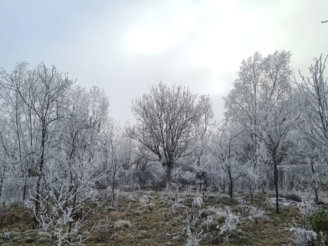 Astăzi, 7 februarie 2025, vremea continuă să fie rece în județul Dâmbovița, dar și în majoritatea regiunilor țării. Temperaturile vor rămâne apropiate de mediile multianuale