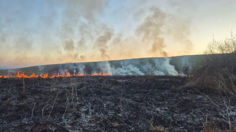 Incendiu puternic de vegetație uscată în Răcari: Flăcările s-au manifestat pe o suprafață de 2 hectare Un incendiu de vegetație uscată a izbucnit ieri după-amiază în zona satului Mavrodin, aflat pe raza orașului Răcari, provocând o mobilizare rapidă din partea autorităților locale.
