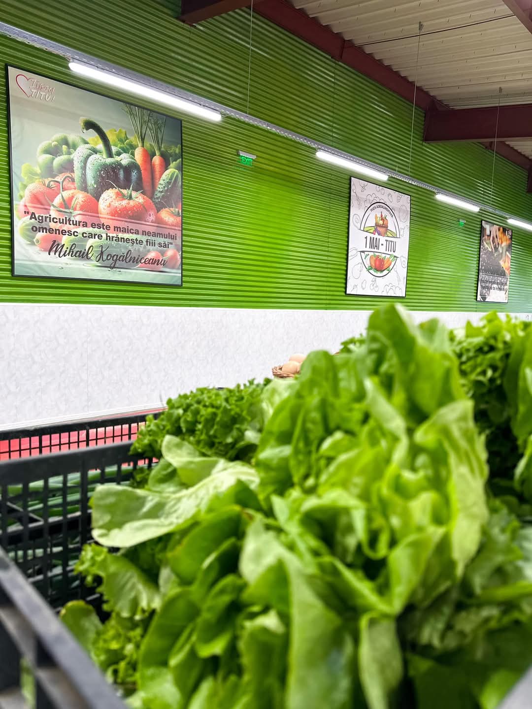 Ieri, 6 februarie 2025, primarul Laurențiu Costache a anunțat redeschiderea Pieței 1 Mai din Titu, după două săptămâni de lucrări intense