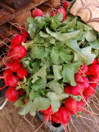 IMPORTANT! S-au efectuat plățile în cadrul programului de sprijin pentru legumicultorii dâmbovițeni Veste bună pentru legumicultorii din județul Dâmbovița! Direcția Agricolă Dâmbovița a efectuat plata către toți fermierii eligibili din cadrul programului de sprijin destinat legumicultorilor.