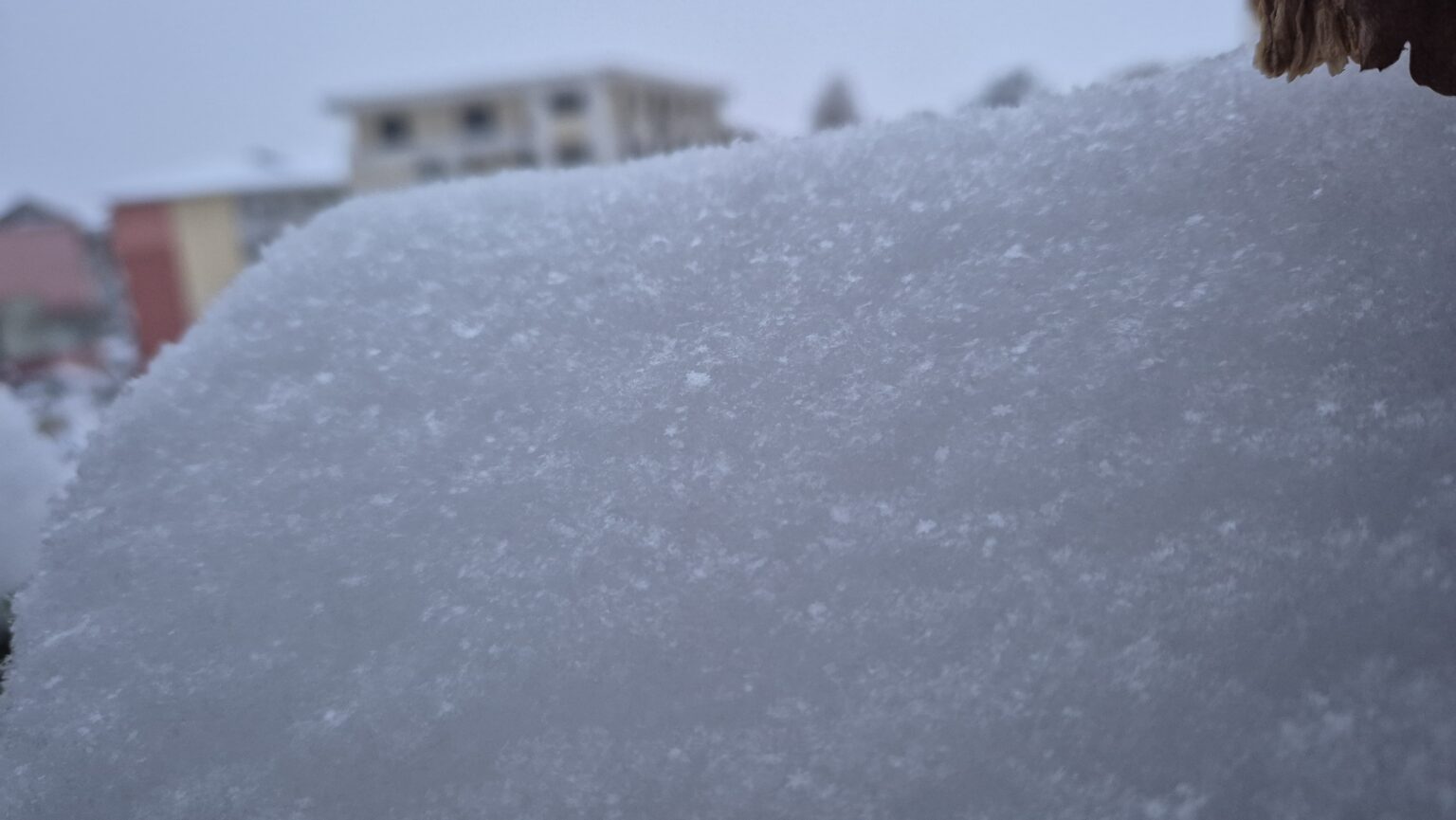 La Târgoviște, iarnă autentică, 25 de centimetri stratul de nea și urmează temperaturi de -12 grade Celsius Municipiul Târgoviște se află în mijlocul unei ierni spectaculoase, cu ninsori neîncetate care au adus un strat de zăpadă de 25 de centimetri la ora 14:00