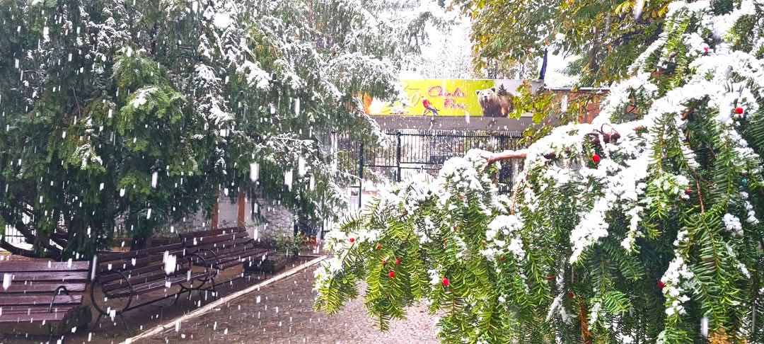 Grădina Zoologică din Târgoviște rămâne un loc de top pentru iubitorii de natură și animale, fiind vizitată de 152.643 de persoane în 2024. Situată pe o suprafață de 4 hectare, grădina adăpostește aproape 170 de specii de animale, din care multe sunt exotice și rare în România.