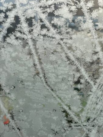 Un nou val de aer rece va lovi România începând de sâmbătă, după o scurtă perioadă de vreme caldă în zilele de joi și vineri După doua zile însorite și temperaturile mai ridicate, pregătiți-vă pentru o schimbare rapidă, căci un nou val de aer rece va pătrunde în țară