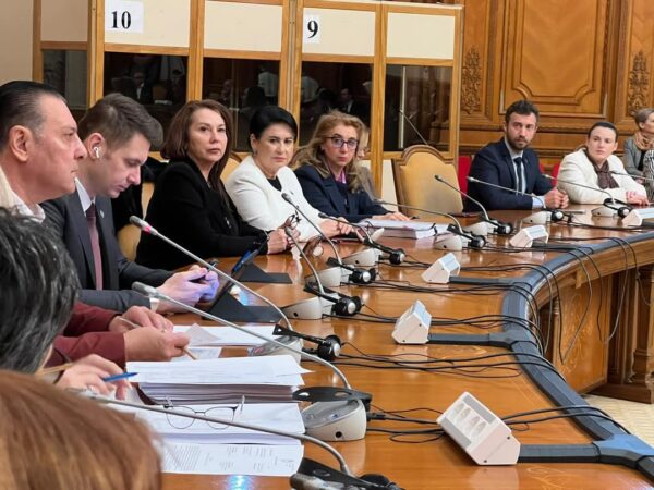 În cadrul unei ședințe a Comisiei pentru Sănătate și Familie din Camera Deputaților, deputatul PSD Dâmbovița, Carmen Holban, a anunțat depunerea a două amendamente semnificative pentru îmbunătățirea infrastructurii și dotărilor din spitalele județului Dâmbovița.