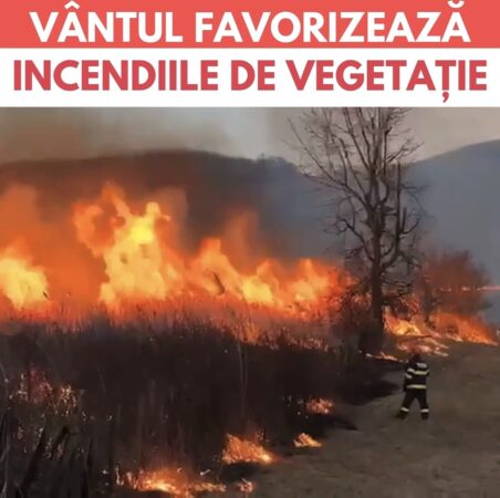 În județul Dâmbovița, incendiile de vegetație uscată au ajuns la un nivel alarmant, punând în pericol atât viața locuitorilor, cât și ecosistemele locale. Autoritățile  au declarat stare de alertă din cauza intensificării focarelor care afectează zone întinse de teren agricol și păduri.