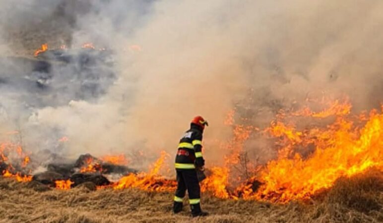 Prăpăd în urma incendiilor de vegetație: Flăcările devastatoare au afectat sute de hectare în tot județul Dâmbovița Autoritățile din județul Dâmbovița au fost alertate în legătură cu un incendiu de vegetație uscată izbucnit în localitatea Moreni. În cel mai scurt timp, două autospeciale de stingere cu apă și spumă, aparținând Detașamentelor de Pompieri Titu și Târgoviște, au ajuns la fața locului pentru a face față situației de urgență.
