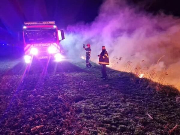 Intervenție rapidă a pompierilor din Găești pentru stingerea unui incendiu de vegetație uscată în comuna Petrești Ieri, în jurul orei 17:40, Detașamentul de Pompieri Găești a fost solicitat să intervină pentru stingerea unui incendiu de vegetație uscată în comuna Petrești,