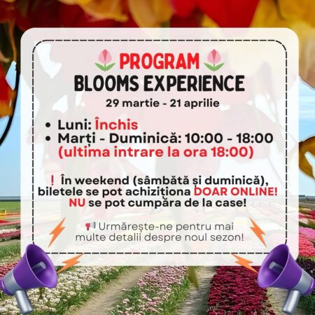 Lalele, Lalele: Începând cu 29 martie 2025, Câmpul de Lalele din Pătroaia-Deal,județul Dâmbovița, își deschide porțile Primăvara prinde viață în județul Dâmbovița, iar iubitorii de natură și flori sunt invitați să descopere un loc magic: Câmpul de Lalele din Pătroaia-Deal,