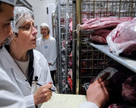 De astăzi, DSVSA Dâmbovița începe ample controale premergătoare Paștelui De astăzi, Direcția Sanitară Veterinară și pentru Siguranța Alimentelor (DSVSA) Dâmbovița începe controale ample la nivel județean, pentru a verifica respectarea normelor de siguranță