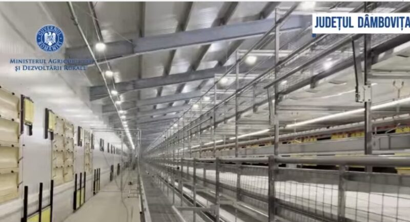 În Județul Dâmbovița, o nouă fermă de găini ouătoare free-range, va produce 29 de milioane de ouă anual O investiție semnificativă în sectorul agricol românesc va fi gata în această lună, cu finalizarea unei ferme de găini ouătoare în sistem free-range în localitatea Dragodana,