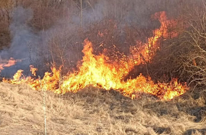 Incendiu devastator în comuna Malu cu Flori: Pompierii și cetățenii au luptat 13 ore cu flăcările Ard dealurile și pădurile din județul Dâmbovița: Flăcările au făcut prăpăd la Malu cu Flori.Un incendiu puternic de vegetație uscată a făcut ravagii în comuna Malu cu Flori,