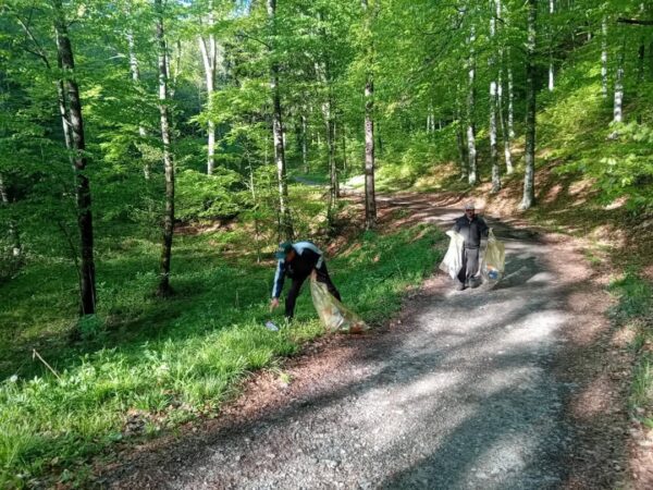 Acțiuni de curățenie în pădurile din cadrul Ocolului Silvic Sturzeni În urma sărbătorilor pascale, pădurile din zona Sturzeni au fost loc de liniște și relaxare pentru mulți dintre cetățeni însă, din păcate, au lăsat în urmă și resturi de gunoaie. Echipele Ocolului Silvic Sturzeni, alături de voluntari pasionați, au demarat acțiuni de curățenie pentru a restabili frumusețea naturală a pădurilor.