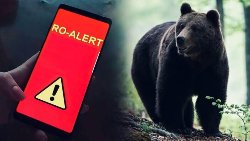 Alertă în Valea Voievozilor: Urs semnalat în apropiere, a fost emis RO-ALERT Ieri, în jurul orei 22:00, autoritățile au fost informate despre prezența unui urs în zona Valea Voievozilor, iar pentru siguranța locuitorilor a fost emis un mesaj RO-ALERT. Acesta a fost transmis imediat populației pentru a le aduce la cunoștință situația și pentru a le recomanda să evite zona.
