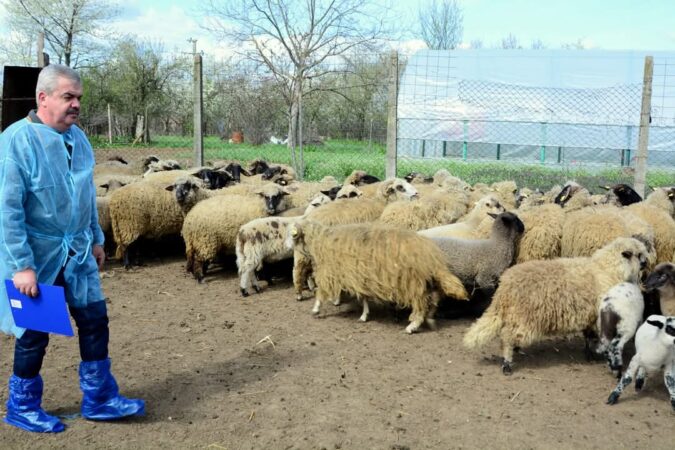 DSVSA Dâmbovița: Recensământul animalelor și păsărilor din Dâmbovița a început! Direcția Sanitar-Veterinară și pentru Siguranța Alimentelor (DSVSA) Dâmbovița a lansat un nou recensământ al păsărilor și animalelor,