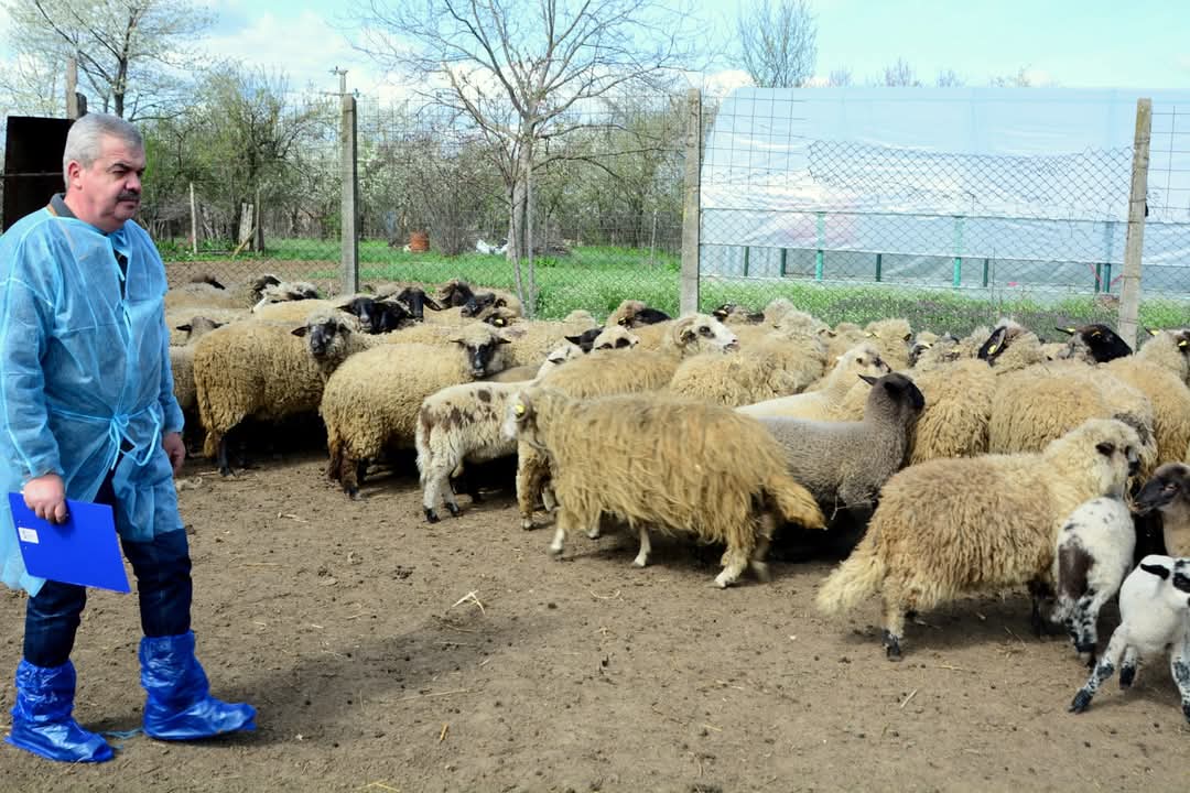 Direcția Sanitar-Veterinară și pentru Siguranța Alimentelor (DSVSA) Dâmbovița a lansat un nou recensământ al păsărilor și animalelor,