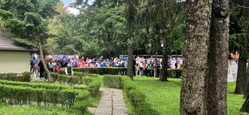 Grădina Zoologică din Târgoviște s-a transformat zilele acestea într-un adevărat tărâm al descoperirilor pentru sute de elevi veniți din toate colțurile țări