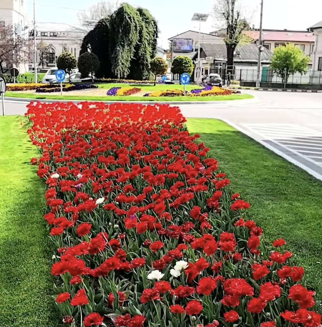 Autoritățile locale din Târgoviște continuă să investească în înfrumusețarea orașului și în revitalizarea spațiilor verzi, un obiectiv important pentru creșterea calității vieții locuitorilor