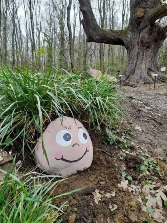 În județul Dâmbovița, Stejarul de 1000 de ani devine centru educațional pentru iubitorii de natură și istorie În inima pădurilor din Dâmbovița, echipa inimoasă la Romsilva Ocolul Silvic Sturzeni lucrează intens la crearea unui traseu tematic unic, în jurul unui stejar de 1000 de ani,