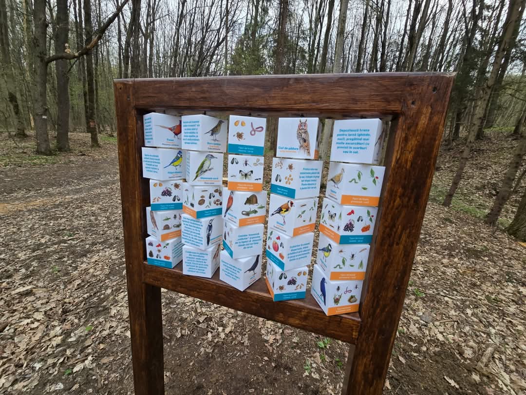 În inima pădurilor din Dâmbovița, echipa inimoasă la Romsilva Ocolul Silvic Sturzeni lucrează intens la crearea unui traseu tematic unic, în jurul unui stejar de 1000 de ani,