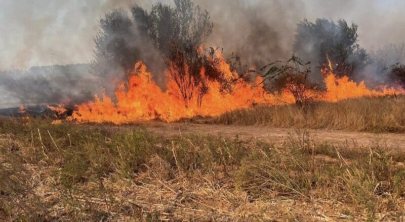 În această perioadă de încălzire a vremii, incendiile de vegetație uscată devin un pericol semnificativ, punând în pericol atât natura, cât și siguranța comunităților.
