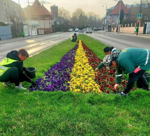 Târgoviște se îmbracă în haine de primăvară, un oraș mai verde și mai frumos Primăvara a adus o schimbare plăcută în peisajul urban al Târgoviștei, iar orașul nostru devine tot mai frumos și mai primitor